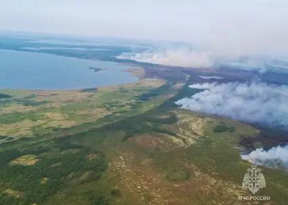 Почти 400 тысяч гектаров леса горят в Якутии