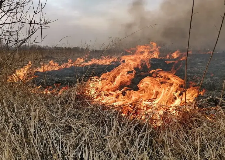 В Красноярском крае за сутки потушили 7 палов травы
