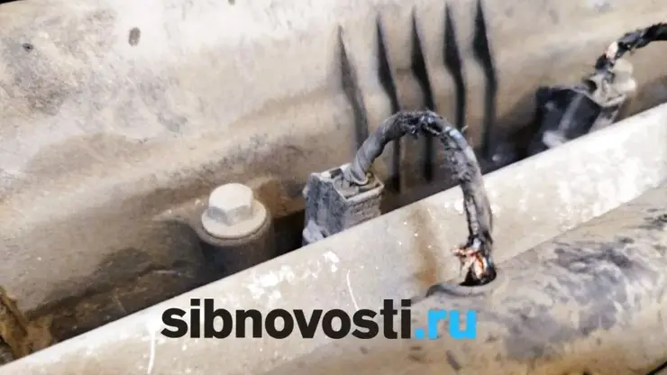 «Утро началось с шока»: крысы перегрызли провода в машине в центре Красноярска