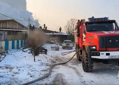 Приют для животных загорелся в Хакасии