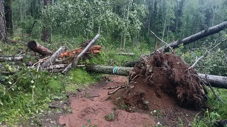 «Огромный ущерб»: на «Красноярские Столбы» обрушилась стихия