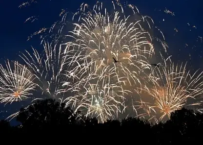 Фейерверки, петарды и салюты запретили запускать в Красноярском крае в новогодние праздники