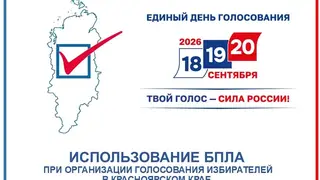 Красноярский край протестирует доставку бюллетеней с помощью беспилотников