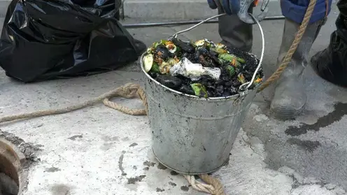 В Красноярске жители засорили трубы кабачками и другим урожаем