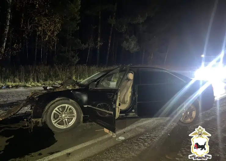 В Тайшетском районе погибла пассажирка в ДТП