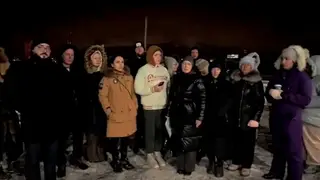 Жители деревни Кузнецово пожаловались главе СК Бастрыкину на нападения бродячих собак