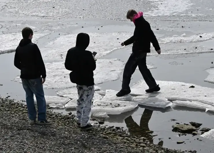 258 подростков задержали за кражи и грабежи в Новосибирской области