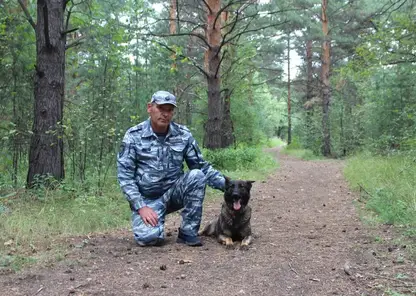 Чудо на юге Красноярского края: кинолог и собака спасли 84-летнюю бабушку, заблудившуюся в лесу
