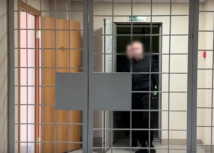 Интерпол помог вернуть в Иркутск водителя скрывавшегося за границей