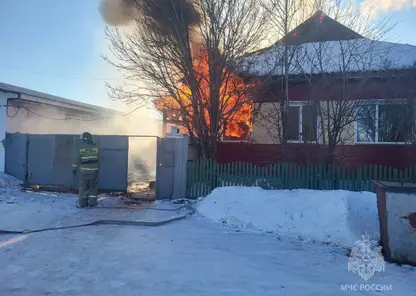 11 пожаров потушили в Красноярском крае за сутки