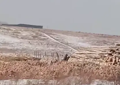 Под Красноярском обнаружили новую свалку строительных отходов