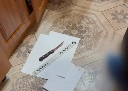 Красноярец зарезал собственную мать из-за бытового конфликта