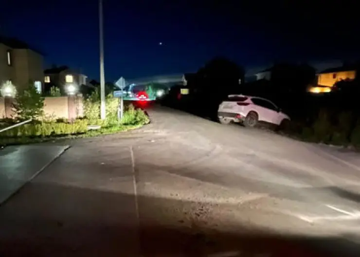 В Омске водитель врезался в дорожный знак и погиб
