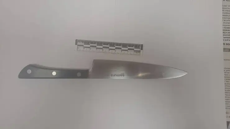 «Нестандартная одежда из восточной субкультуры»: знакомый школьницы, которая напала с ножом на учительницу в Кодинске, рассказал про её увлечения