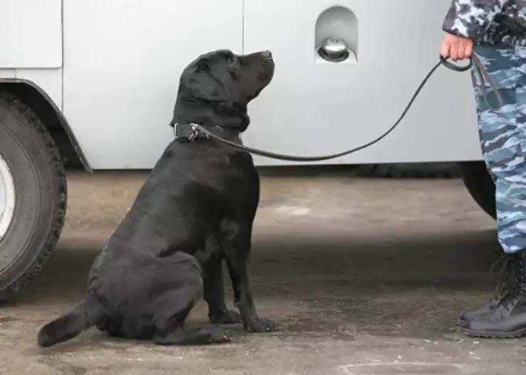 В Красноярске снова эвакуируют школы