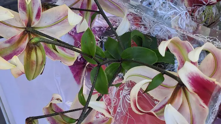 В Центральном районе Красноярска выявляют точки незаконной уличной торговли. А где продавать разрешено?