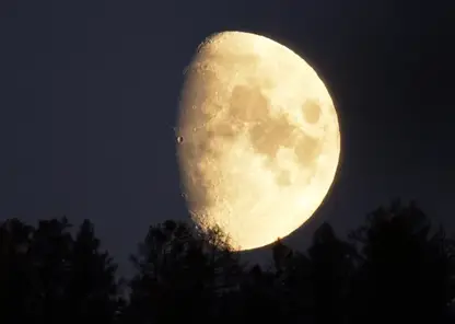 Стоит ли верить лунному календарю при посадках? Объясняют ученые