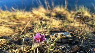 На майских праздниках красноярцев ждет летняя погода