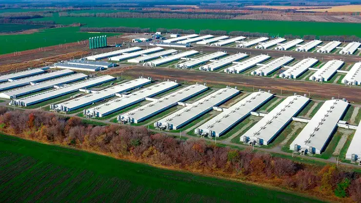 «Сибагро» снова в тройке лучших!