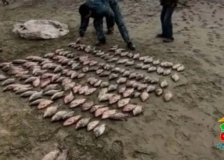 На Красноярском море поймали двух браконьеров