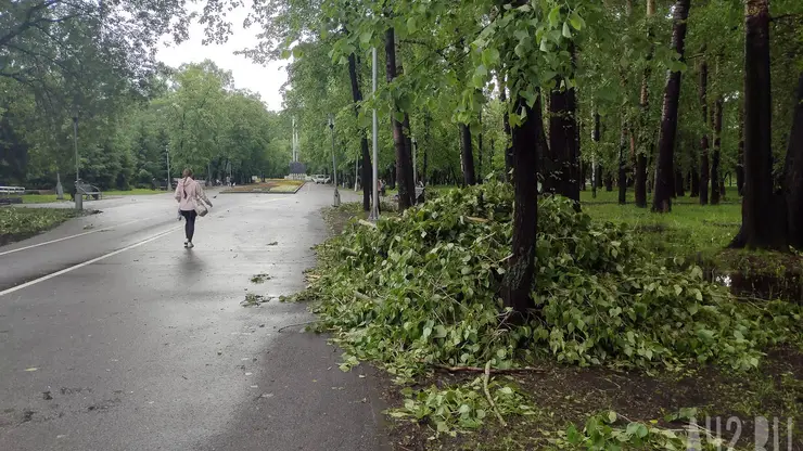 Часть Новокузнецка осталась без электричества из-за сильного ливня и ветра