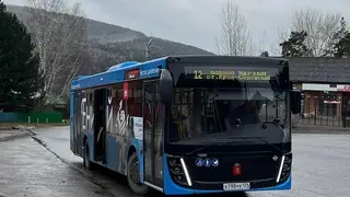 Новую маршрутную сеть разработают для Красноярска