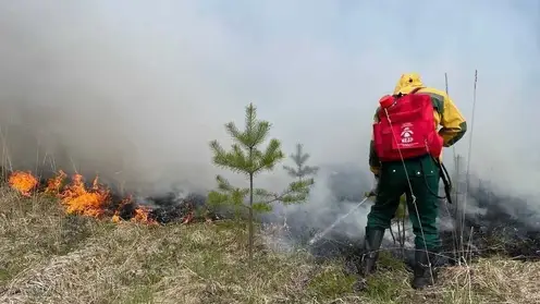 Лучшие лесопожарные подразделения Красноярского края получат 50 тысяч рублей на развитие