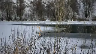 В Новосибирске 11-летний мальчик провалился под лед и утонул