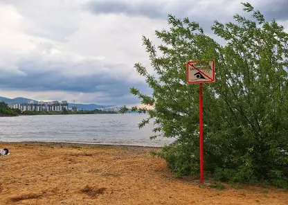 Красноярск встретит День России кратковременным дождем