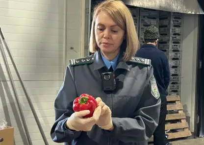 Почти 10 тонн заражённых перцев и винограда не попали в Красноярский край