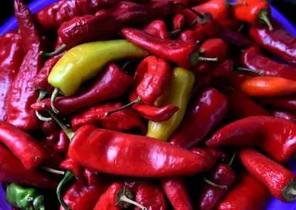 Жгучий чили: в Роспотребнадзоре рассказали о его пользе и опасности