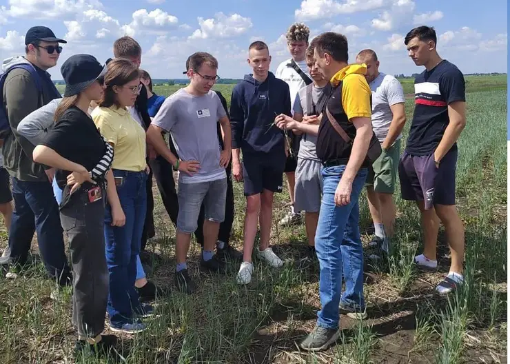 В Кузбассе искусственный интеллект внедрят в сельское хозяйство