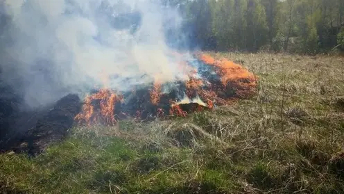 В Красноярском крае за выходные потушили четыре лесных пожара