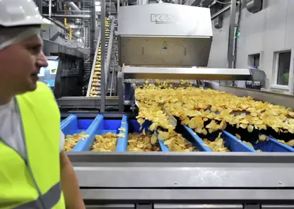 Сибирские производители нарастили экспорт картофельных чипсов на 22%