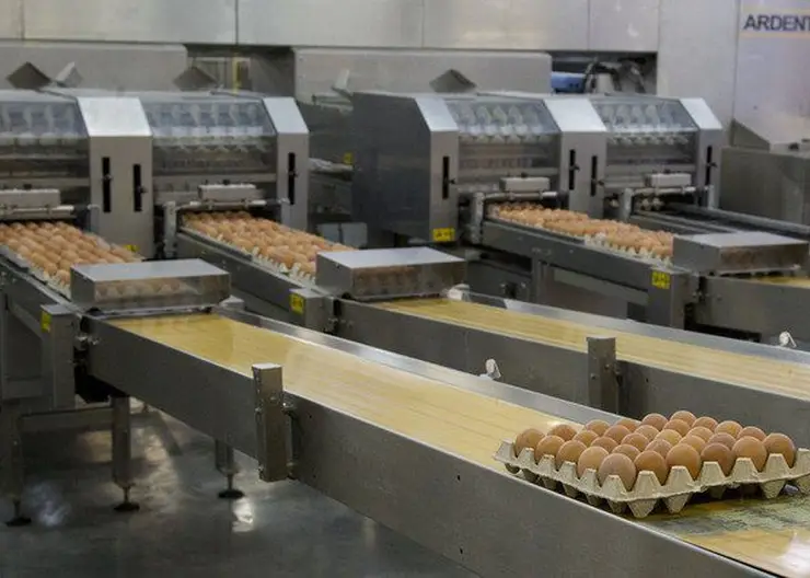 В Красноярском крае «Бархатовская» птицефабрика выставлена на продажу