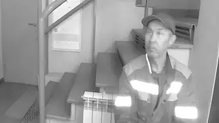 Водитель маршрутки в Новосибирске украл надувную куклу, чтобы завоевать любовь женщины-кондуктора