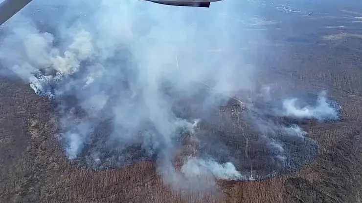 В Приморье за сутки выявили 20 лесных пожаров, один из них продолжает действовать