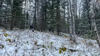 Опыт поиска семьи Усольцевых поможет усовершенствовать методики спасения людей в Красноярском крае