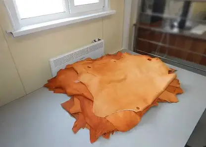 Незаконную партию овечьих шкур задержали на таможне в Алтае