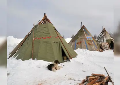 В Красноярском крае северяне смогут обучиться редкой профессии в 2026 году