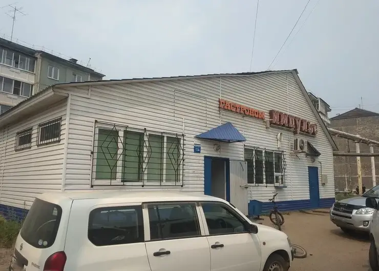 Под суд пойдет мужчина за ограбление инкассаторов на 800 тысяч рублей в Лесосибирске