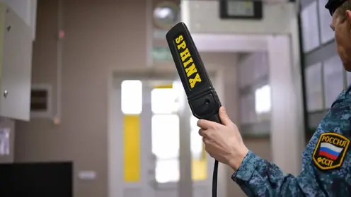 Более трех тысяч единиц оружия и боеприпасов пытались пронести в суды Красноярского края в 2025 году: среди них — электрошокеры, травматические и газовые пистолеты