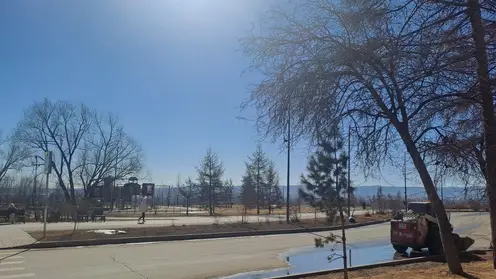 Без осадков и +5: прогноз погоды на последний день марта в Красноярске