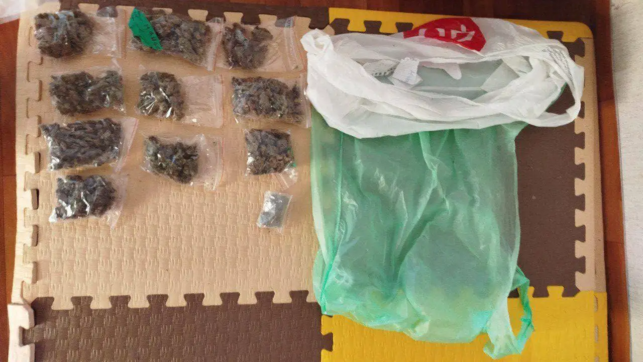 Фото: Telegram-канал «МВД 24»