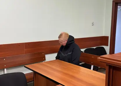 В Красноярске суд приговорил к 5,5 годам колонии бывшего главного бухгалтера детского дома им. Совмена за присвоение и мошенничество