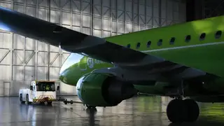 Новосибирские таможенники рассказали, куда чаще всего вывозят животных из Толмачево Новосибирские таможенники рассказали, куда чаще всего вывозят животных из Толмачево