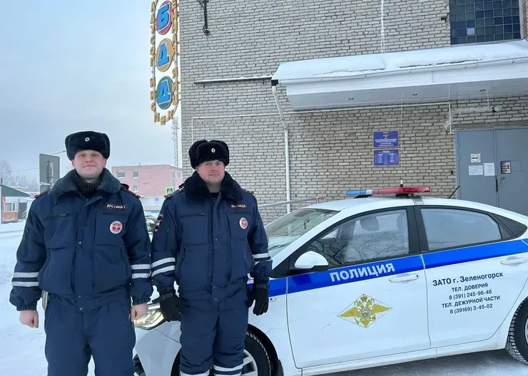 В Зеленогорске инспекторы ДПС спасли замерзающую на трассе семью с ребенком