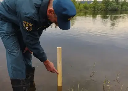 Около 47 приусадебных участков подтопило в Иркутской области из-за разлива реки Киренга (видео)