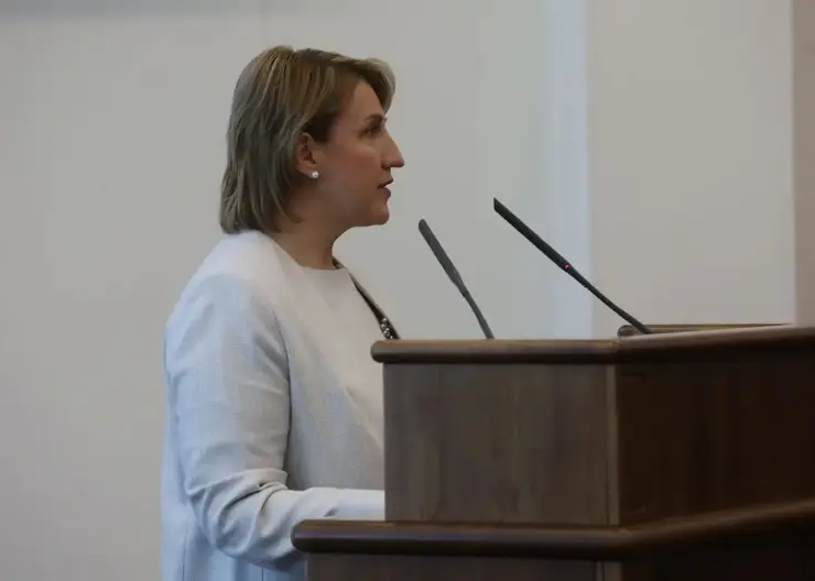 Бизнес-омбудсмен отчиталась перед депутатами: число предпринимателей в Красноярском крае остаётся стабильным