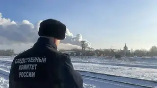 Поезд насмерть сбил женщину в Алтайском крае